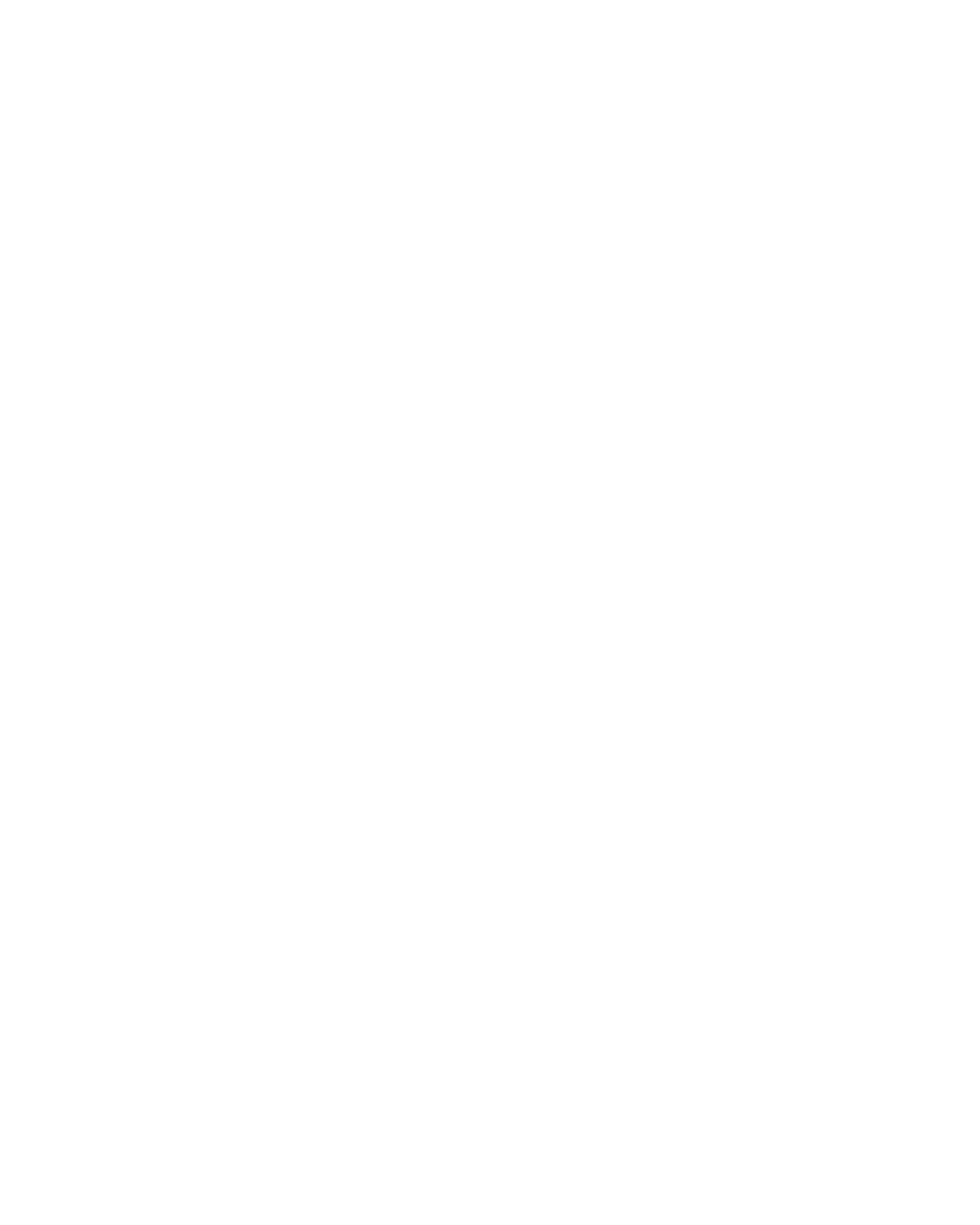 Data Scanning