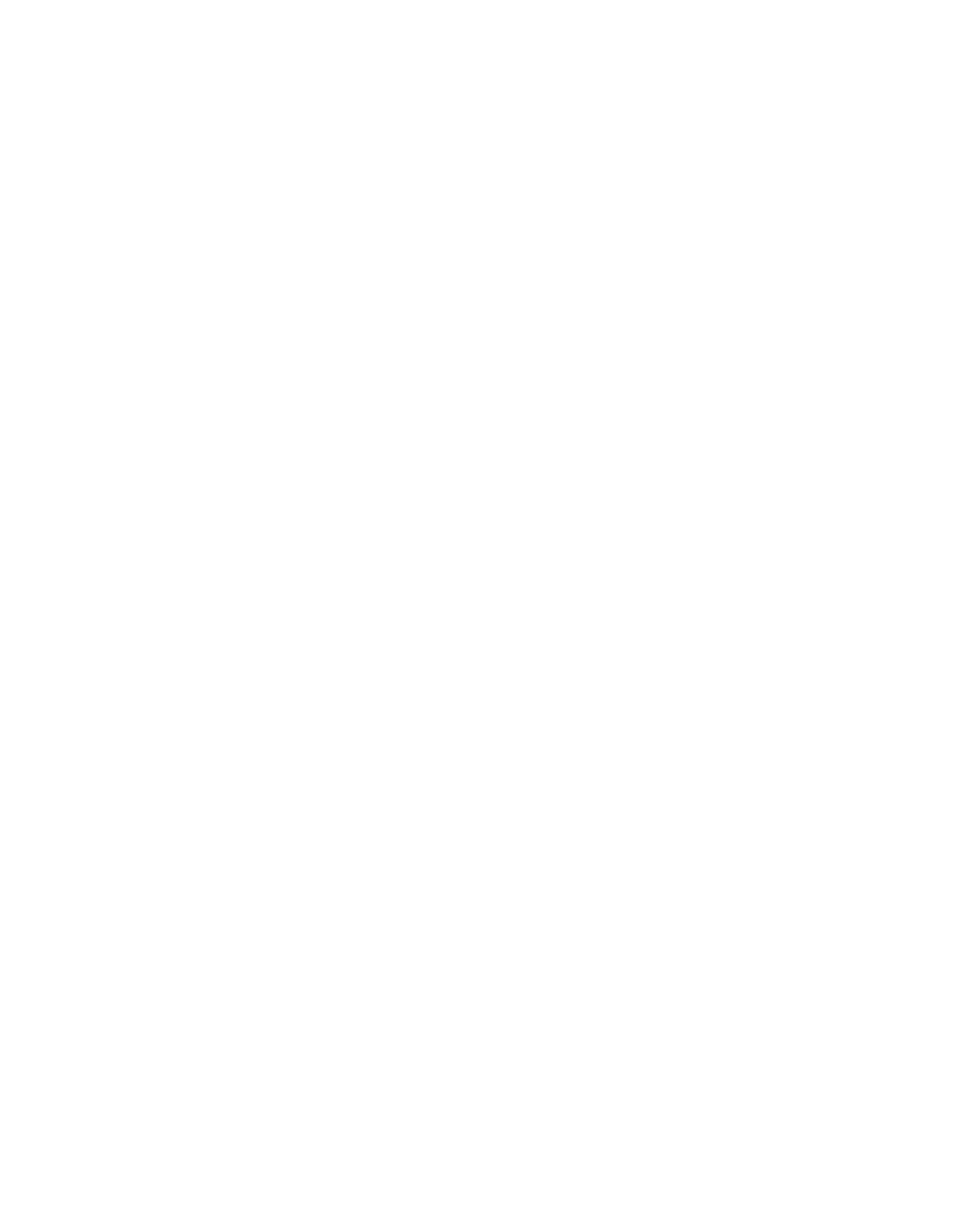 Lead qualification icon